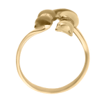 Anillo Erol Klamore