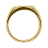 Anillo Terra Klamore