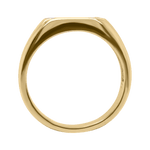 Anillo Terra Klamore