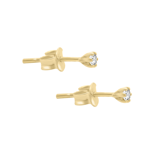 Broqueles Bonny Klamore