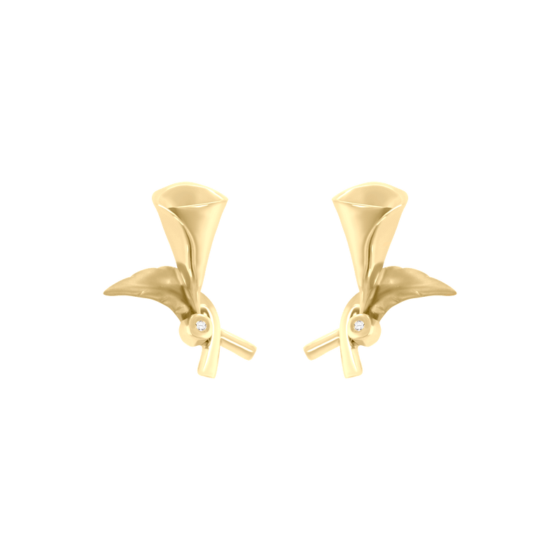 Aretes Irfan Klamore