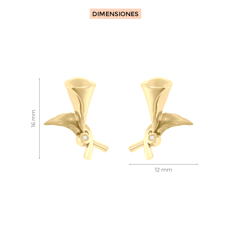 Aretes Irfan Klamore