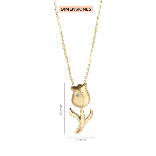 Dije con cadena Orfa Klamore