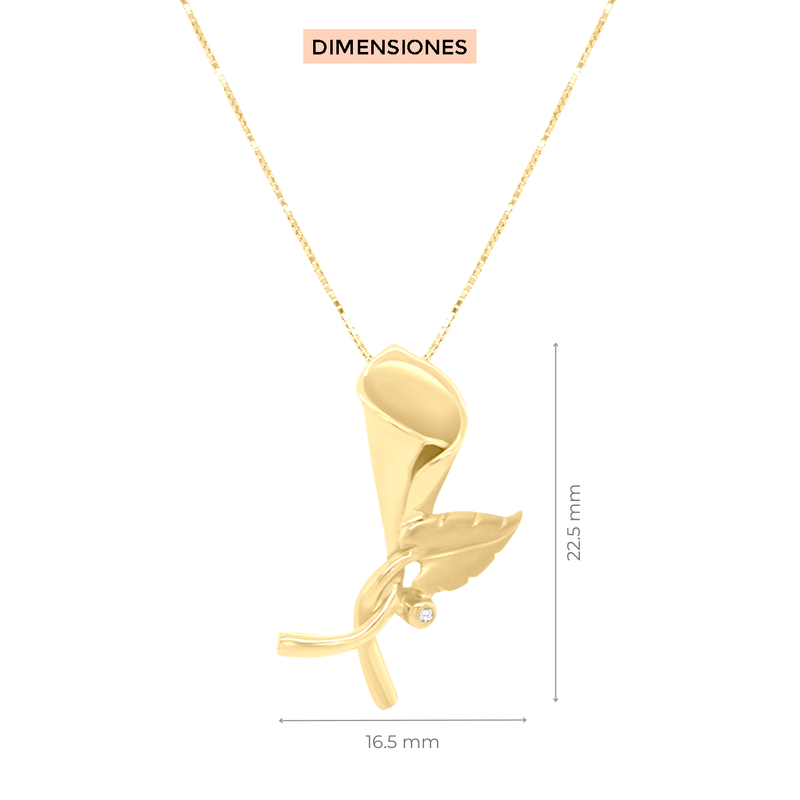 Dije con cadena Irfan Klamore