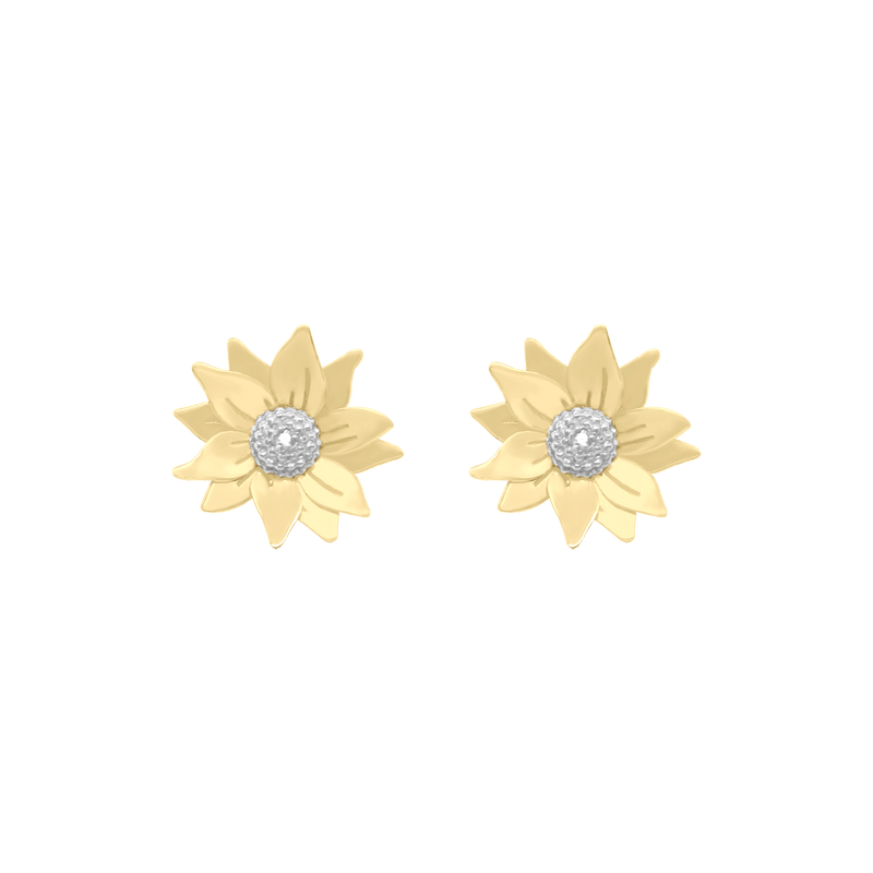 Sun Tour Earrings