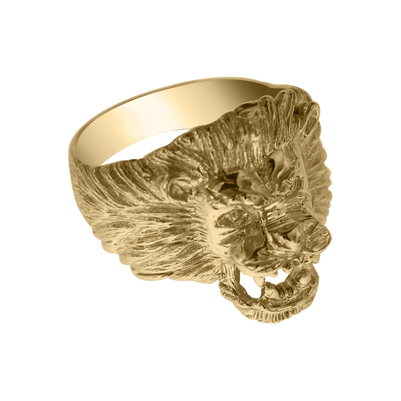 Anillo León