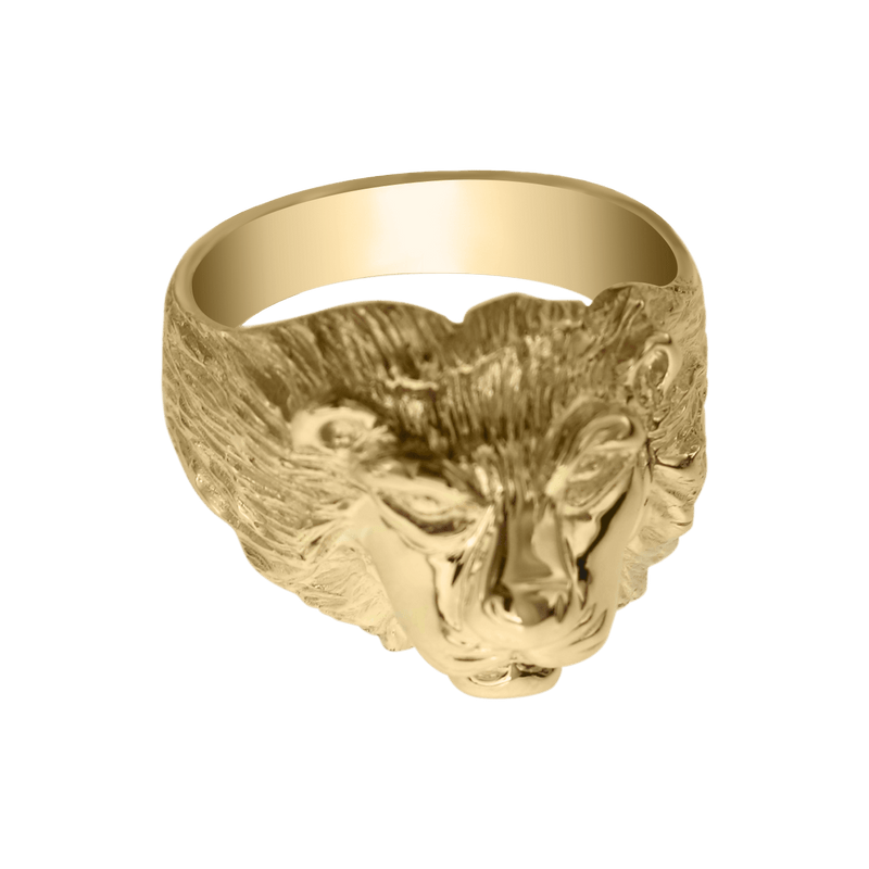 Anillo León de África