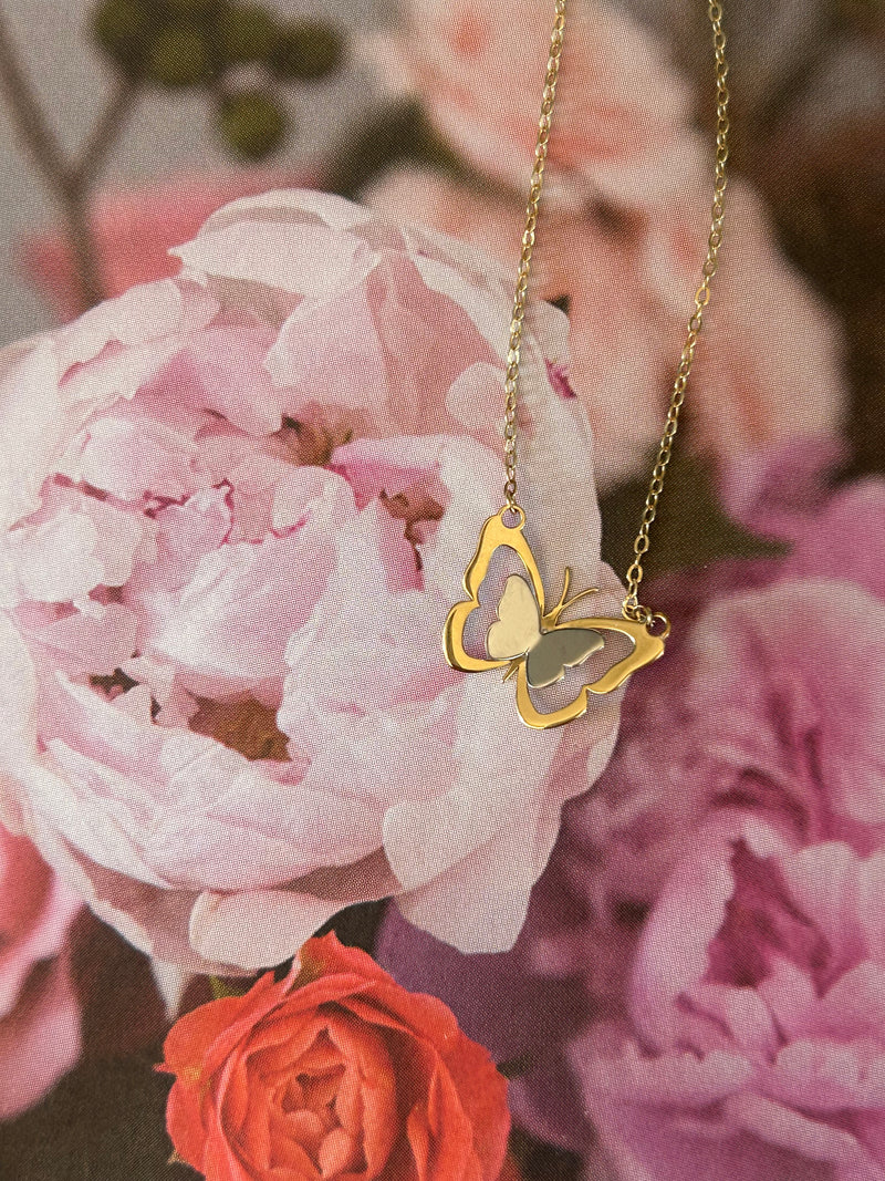 Dije con cadena Adhara Klamore