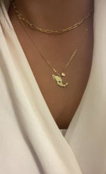 Dije "México, mi corazón"